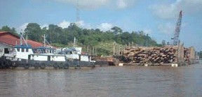 Sawmilling